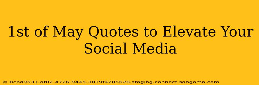 1st of May Quotes to Elevate Your Social Media
