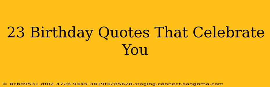 23 Birthday Quotes That Celebrate You