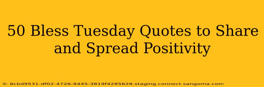 50 Bless Tuesday Quotes to Share and Spread Positivity