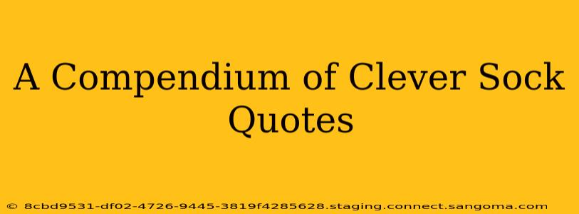 A Compendium of Clever Sock Quotes