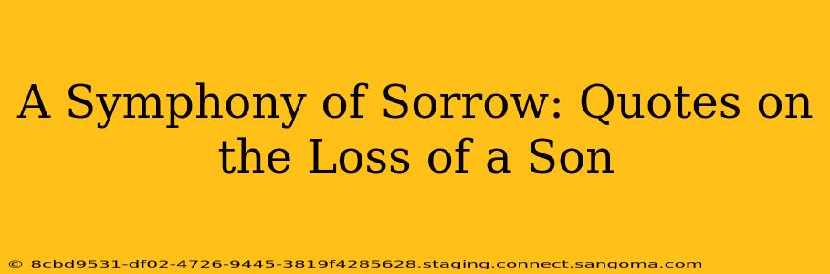 A Symphony of Sorrow: Quotes on the Loss of a Son