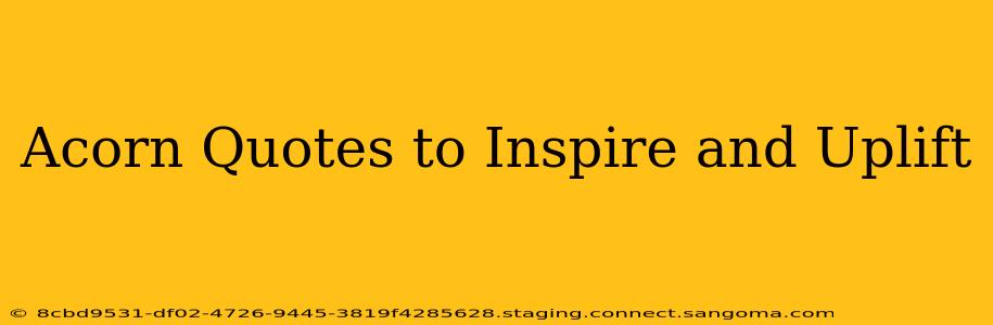 Acorn Quotes to Inspire and Uplift