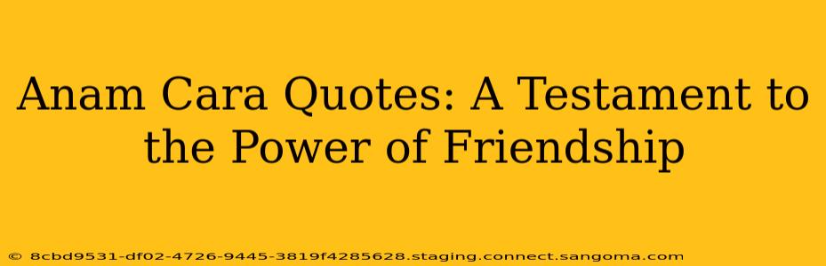 Anam Cara Quotes: A Testament to the Power of Friendship