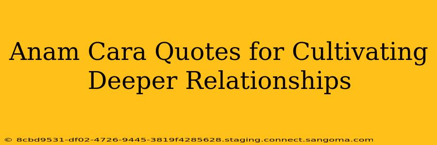 Anam Cara Quotes for Cultivating Deeper Relationships