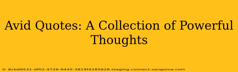 Avid Quotes: A Collection of Powerful Thoughts