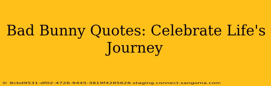 Bad Bunny Quotes: Celebrate Life's Journey