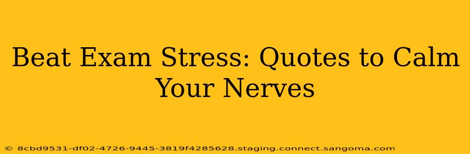 Beat Exam Stress: Quotes to Calm Your Nerves