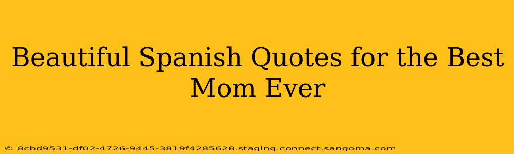 Beautiful Spanish Quotes for the Best Mom Ever
