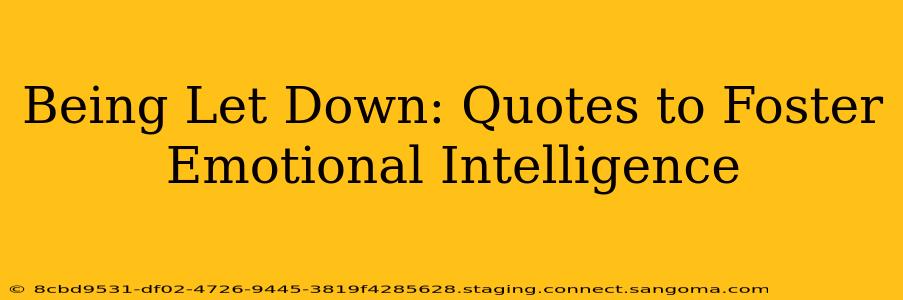 Being Let Down: Quotes to Foster Emotional Intelligence