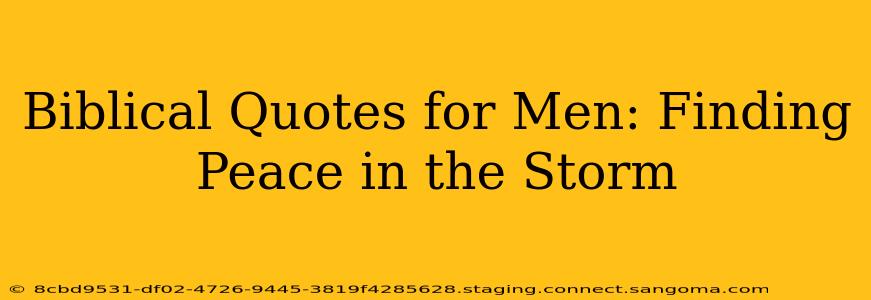 Biblical Quotes for Men: Finding Peace in the Storm