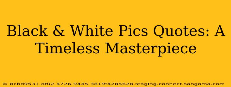 Black & White Pics Quotes: A Timeless Masterpiece