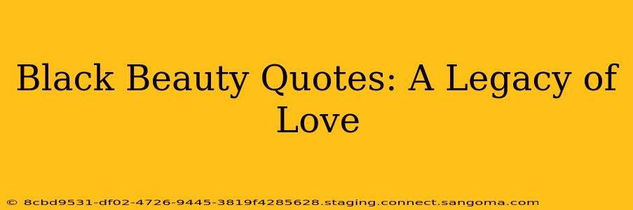 Black Beauty Quotes: A Legacy of Love