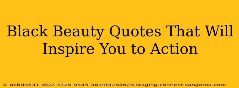 Black Beauty Quotes That Will Inspire You to Action