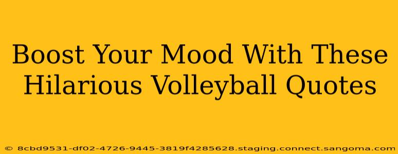 Boost Your Mood With These Hilarious Volleyball Quotes