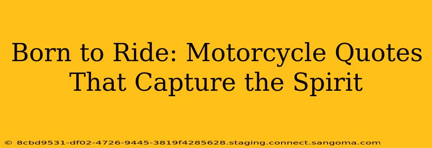 Born to Ride: Motorcycle Quotes That Capture the Spirit