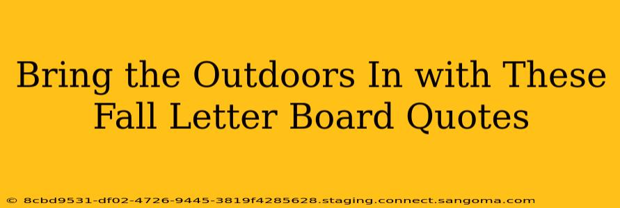 Bring the Outdoors In with These Fall Letter Board Quotes