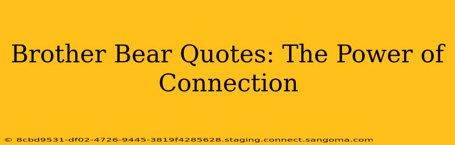 Brother Bear Quotes: The Power of Connection