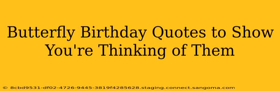 Butterfly Birthday Quotes to Show You're Thinking of Them