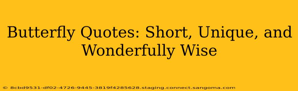 Butterfly Quotes: Short, Unique, and Wonderfully Wise