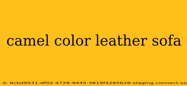 camel color leather sofa