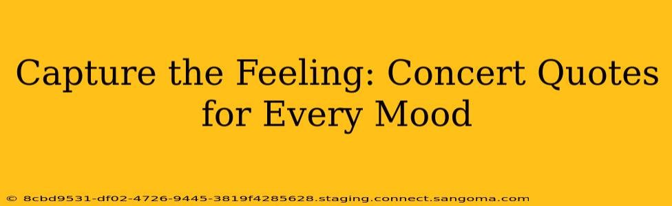 Capture the Feeling: Concert Quotes for Every Mood