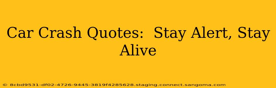 Car Crash Quotes:  Stay Alert, Stay Alive