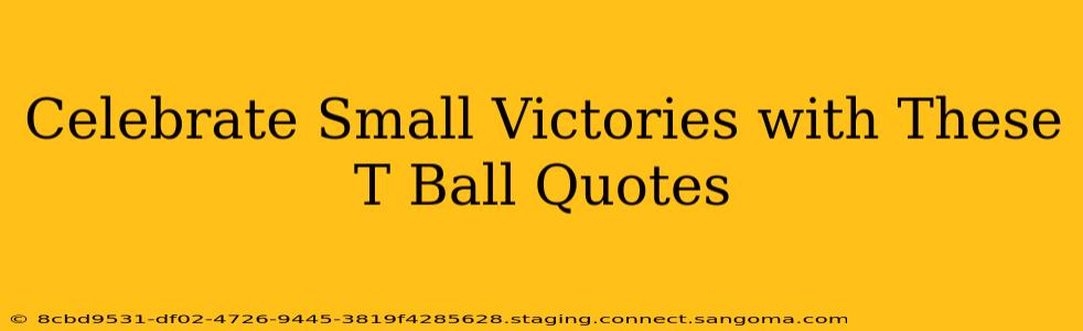 Celebrate Small Victories with These T Ball Quotes