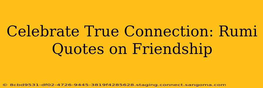 Celebrate True Connection: Rumi Quotes on Friendship
