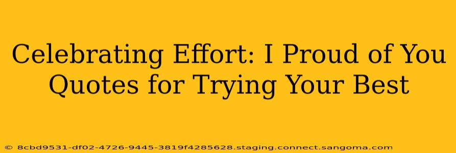 Celebrating Effort: I Proud of You Quotes for Trying Your Best