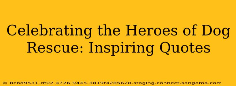 Celebrating the Heroes of Dog Rescue: Inspiring Quotes