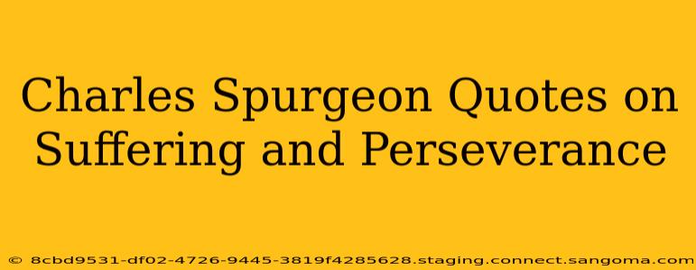 Charles Spurgeon Quotes on Suffering and Perseverance