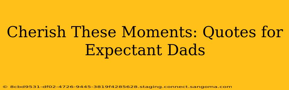 Cherish These Moments: Quotes for Expectant Dads
