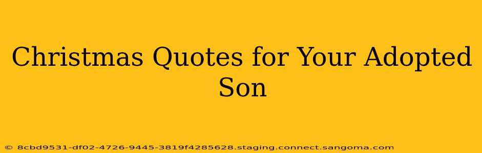 Christmas Quotes for Your Adopted Son