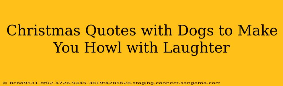 Christmas Quotes with Dogs to Make You Howl with Laughter