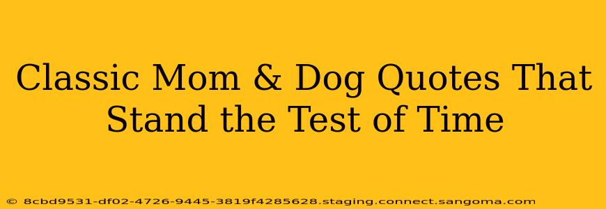 Classic Mom & Dog Quotes That Stand the Test of Time
