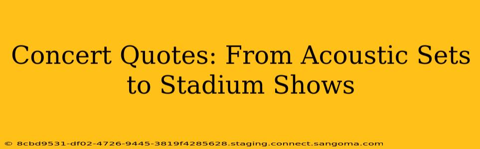 Concert Quotes: From Acoustic Sets to Stadium Shows