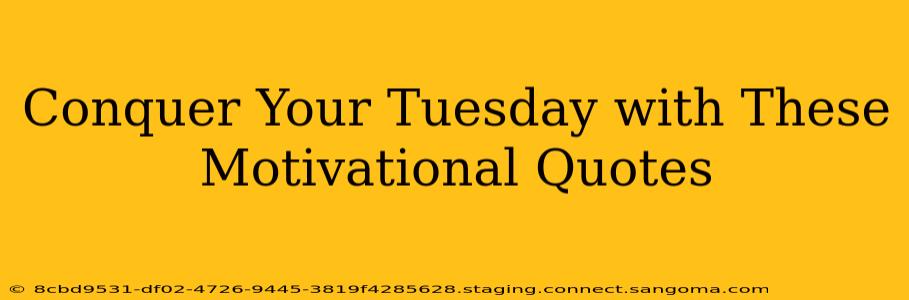 Conquer Your Tuesday with These Motivational Quotes