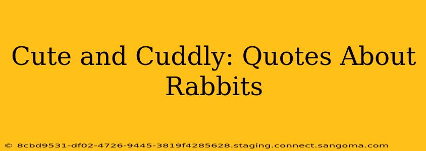 Cute and Cuddly: Quotes About Rabbits