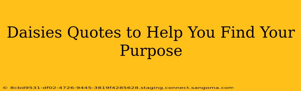 Daisies Quotes to Help You Find Your Purpose