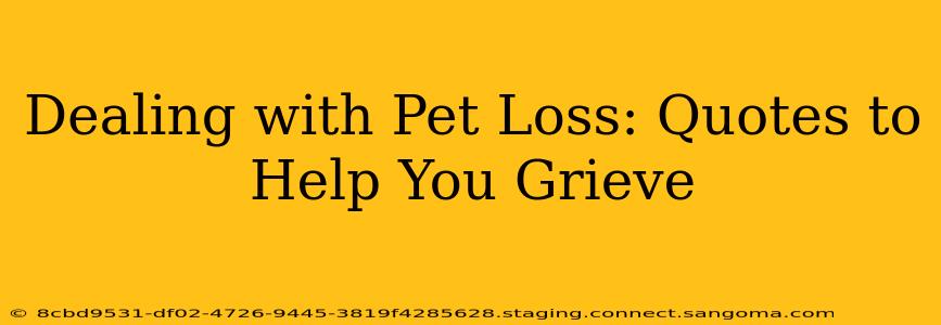 Dealing with Pet Loss: Quotes to Help You Grieve