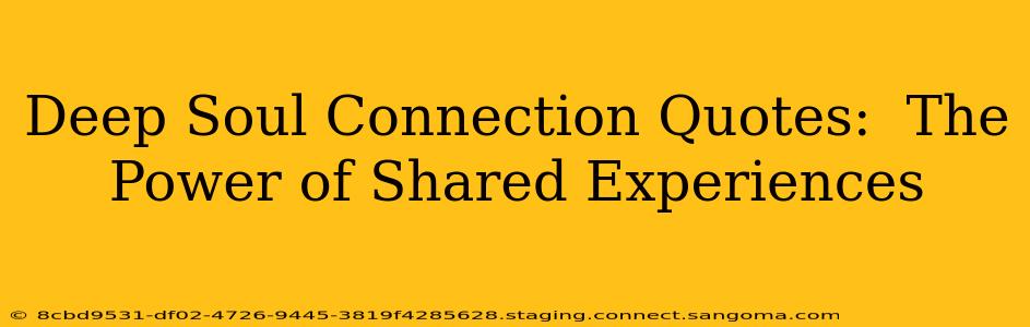 Deep Soul Connection Quotes:  The Power of Shared Experiences