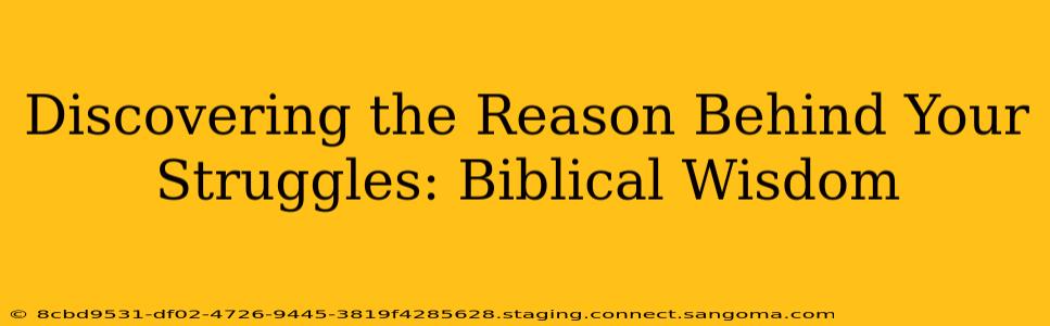 Discovering the Reason Behind Your Struggles: Biblical Wisdom