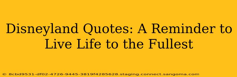 Disneyland Quotes: A Reminder to Live Life to the Fullest