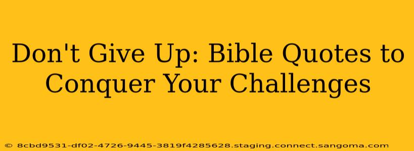 Don't Give Up: Bible Quotes to Conquer Your Challenges