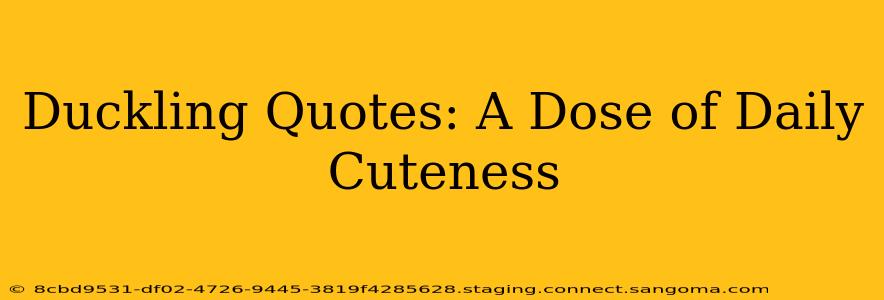 Duckling Quotes: A Dose of Daily Cuteness