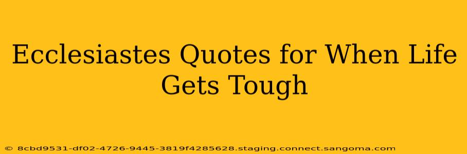Ecclesiastes Quotes for When Life Gets Tough
