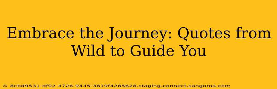 Embrace the Journey: Quotes from Wild to Guide You