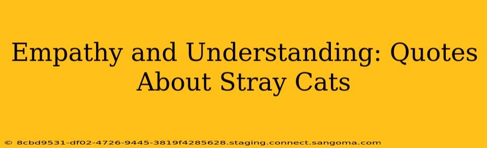 Empathy and Understanding: Quotes About Stray Cats