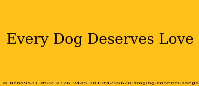 Every Dog Deserves Love