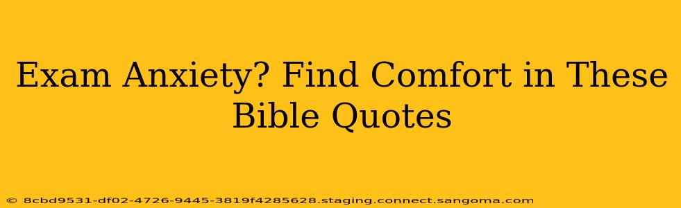 Exam Anxiety? Find Comfort in These Bible Quotes